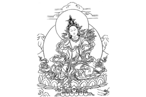 Tibetan Buddha illustration, serene pose with lotus, intricate line art